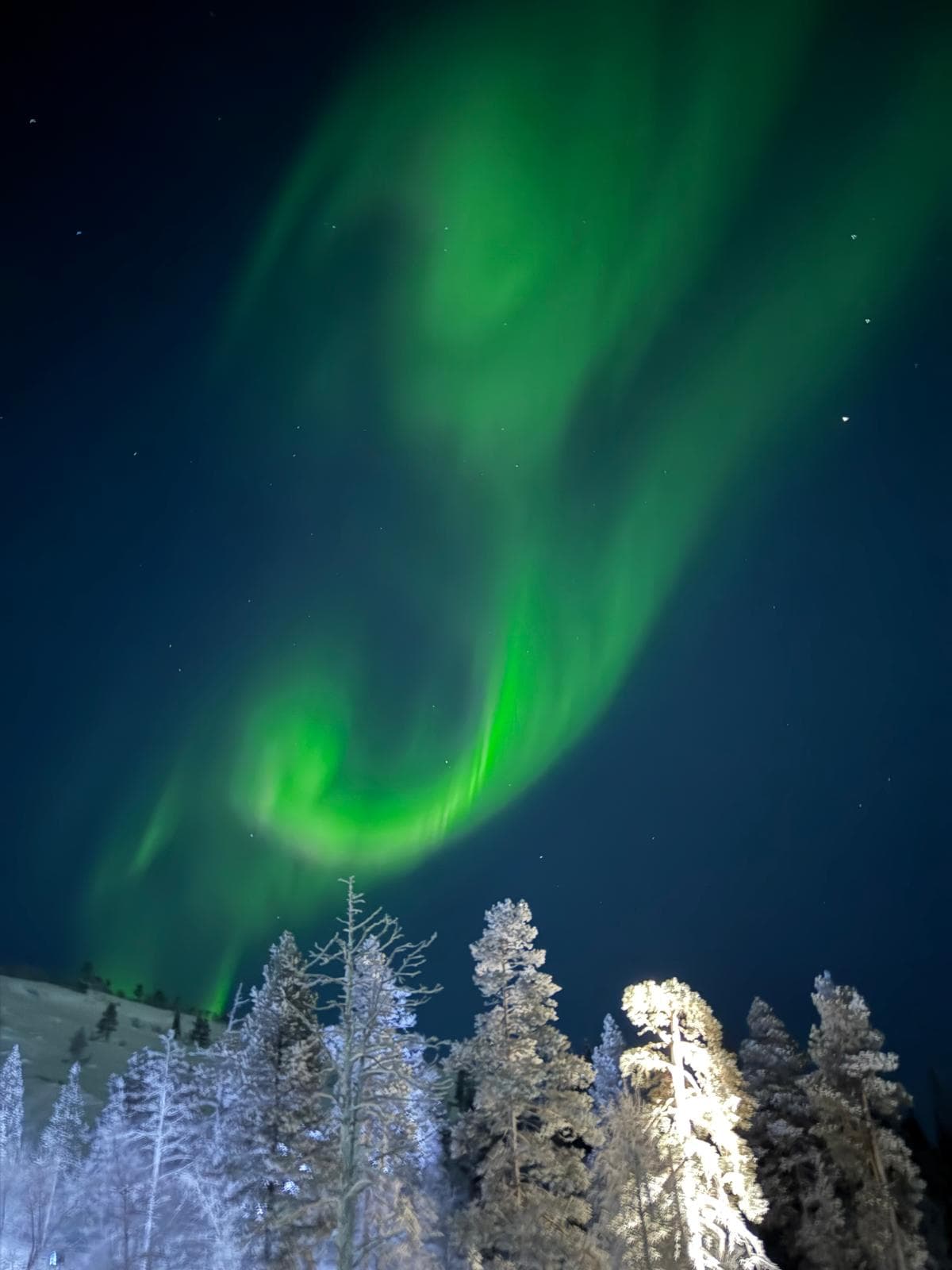 Carpool Aurora Adventure