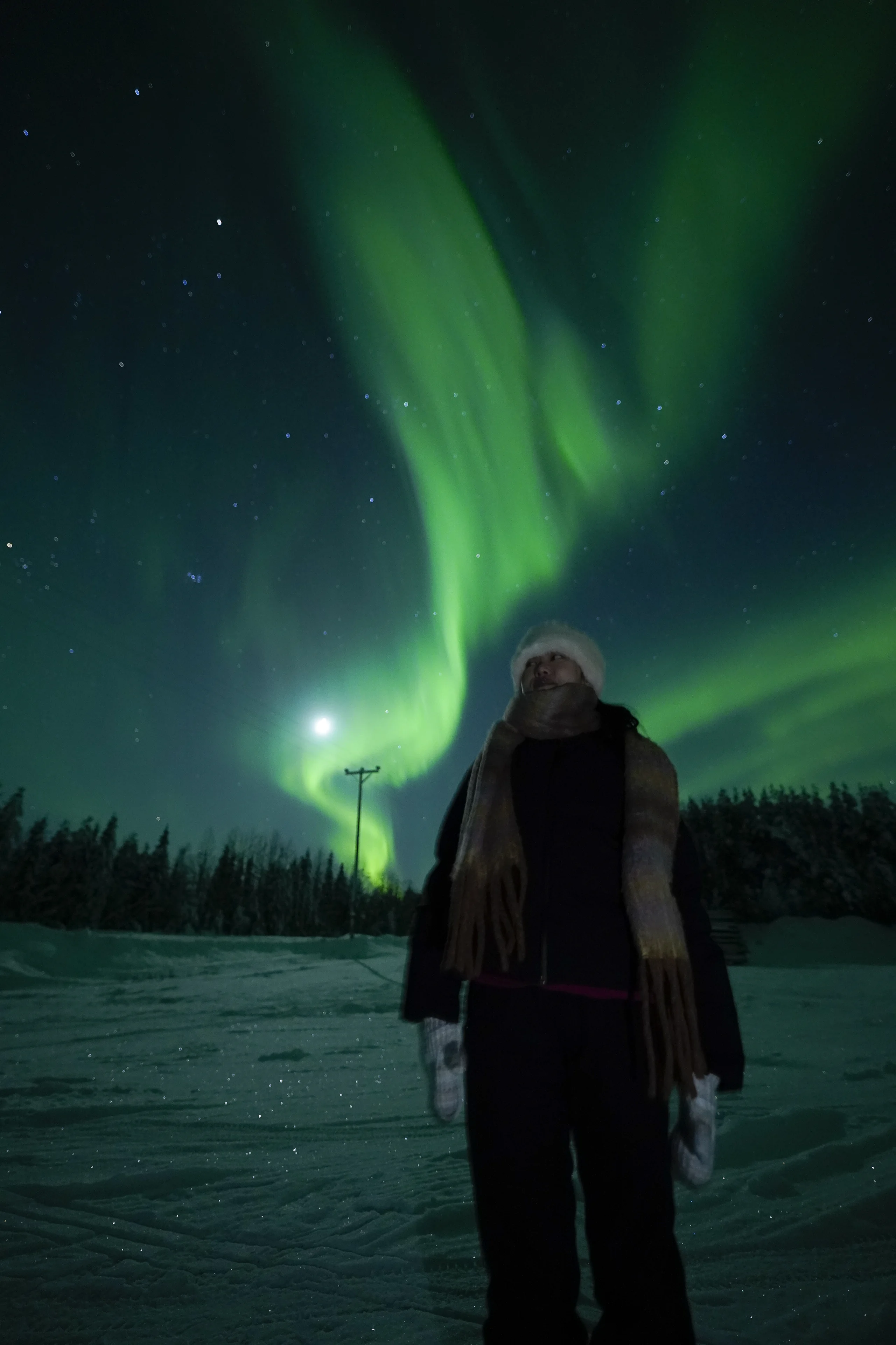 Northern Lights photograph from an Aurora Arctic Adventures tour