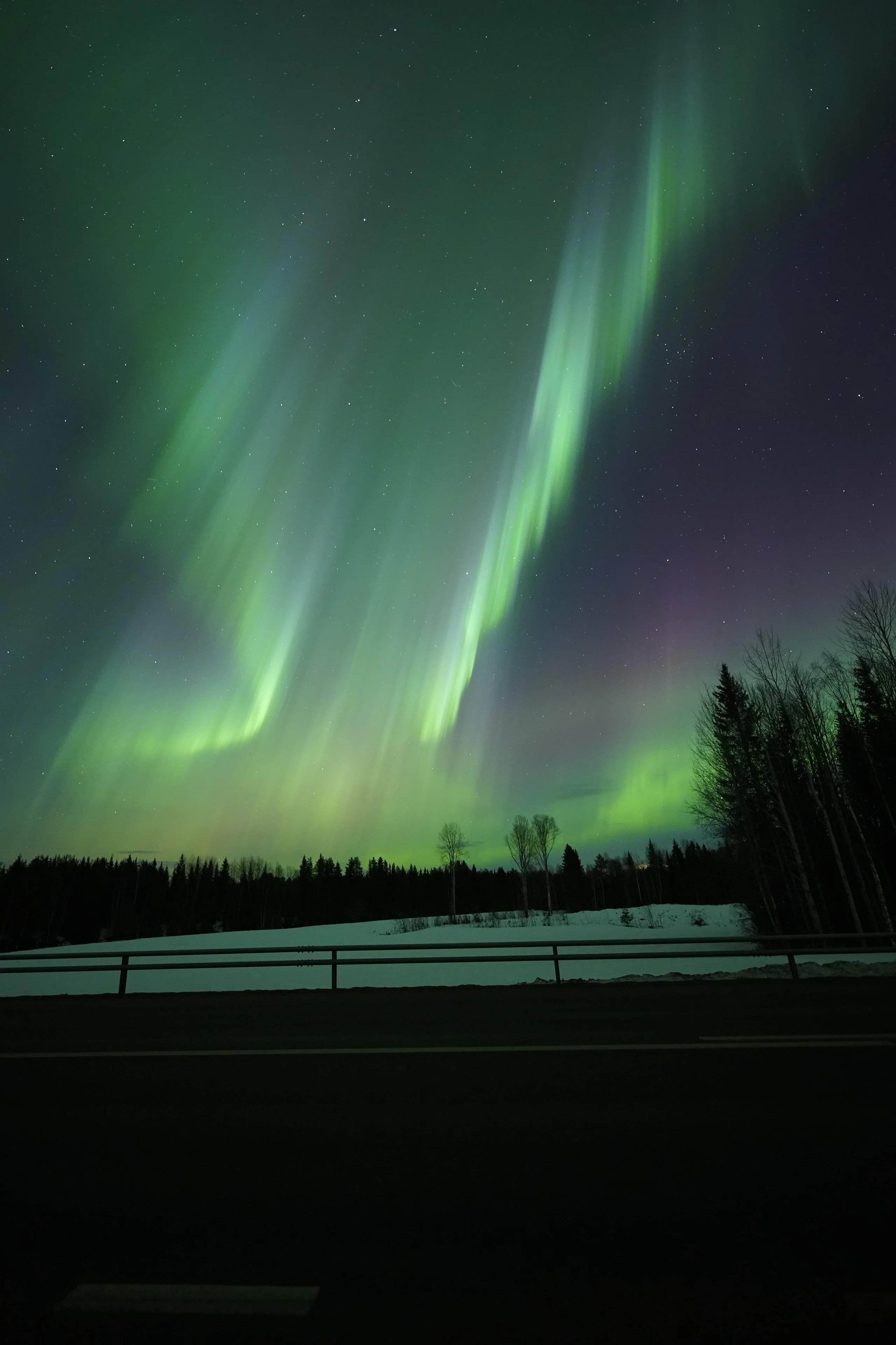 Northern Lights photograph from an Aurora Arctic Adventures tour
