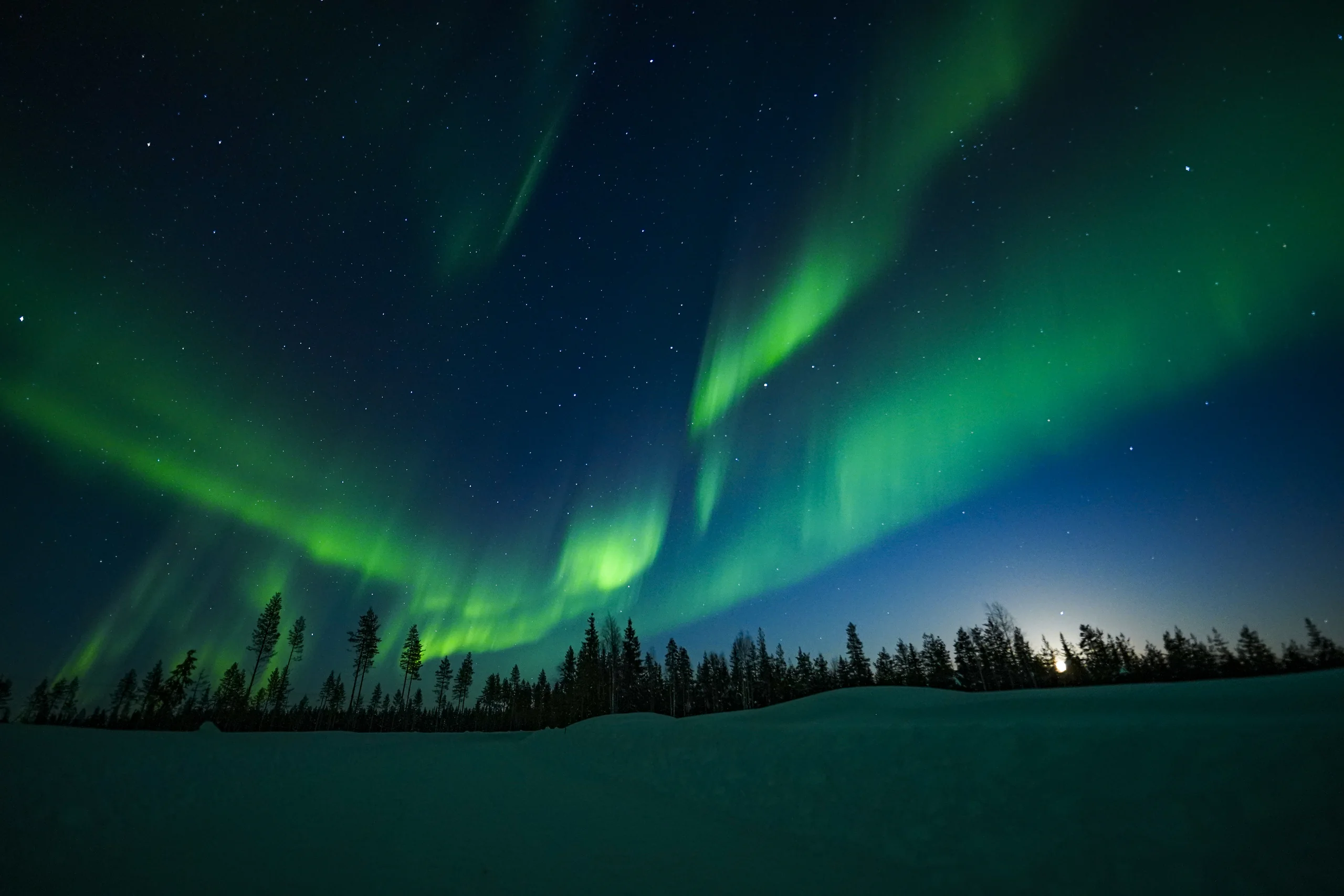 Northern Lights photograph from an Aurora Arctic Adventures tour