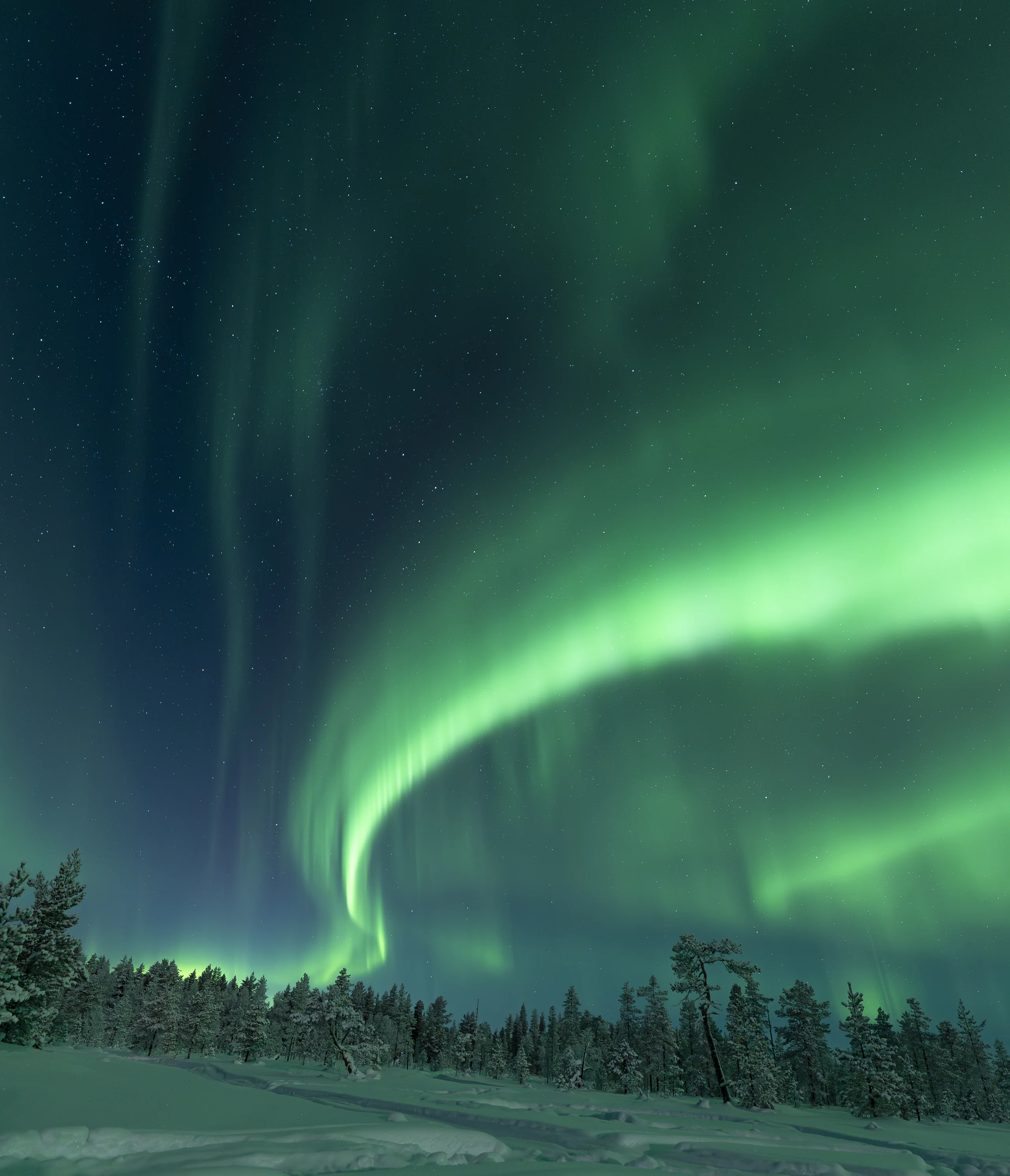 Northern Lights photograph from an Aurora Arctic Adventures tour